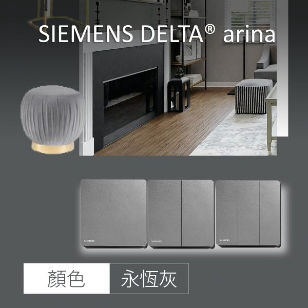 SIEMENS 西門子 DELTA® arina 16AX 雙位雙控開關掣