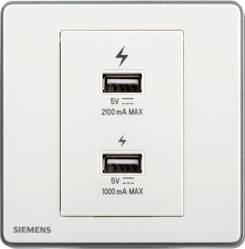 SIEMENS 西門子 DELTA® arina 雙 USB 智能充電插座