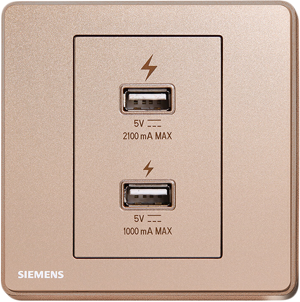 SIEMENS 西門子 DELTA® arina 雙 USB 智能充電插座