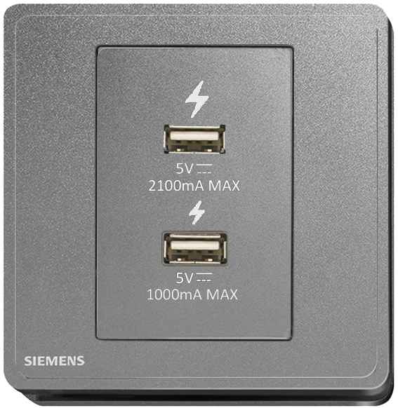 SIEMENS 西門子 DELTA® arina 雙 USB 智能充電插座